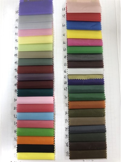 DG-WS 1823 100%Nylon 20D 正面照